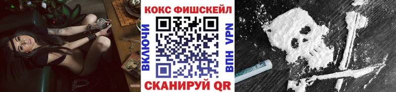 COCAIN Эквадор Дубна