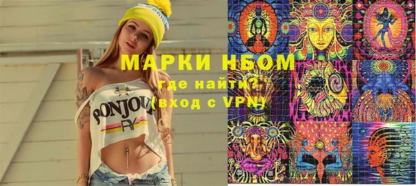 PSILOCYBIN Алзамай