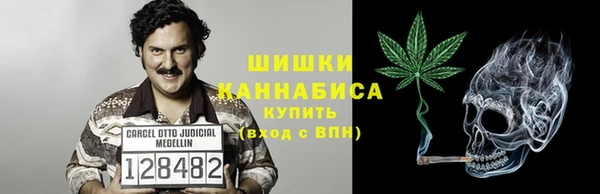 PSILOCYBIN Алзамай