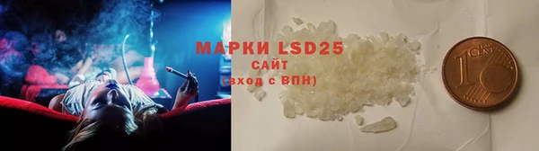 PSILOCYBIN Алзамай