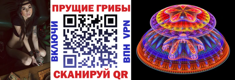 где купить наркоту  Дубна  Галлюциногенные грибы ЛСД 