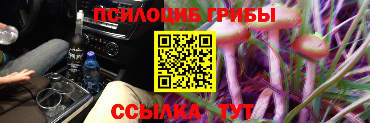 Галлюциногенные грибы Magic Shrooms  Псилоцибиновые грибы GOLDEN TEACHER  Вход с VPN  Дубна 